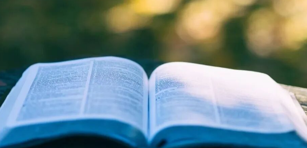 教育部增设开源技术相关专业，开源教育正式纳入国家人才培养体系